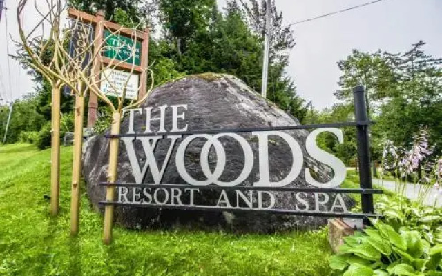 The Woods: Village-14