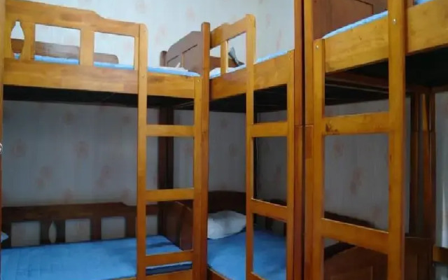 Daegu Female Hostel (хостел для женщин)