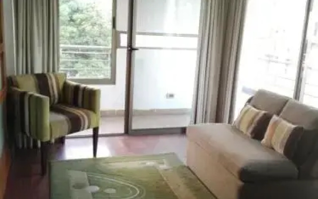 Austral Rentahome Barros Borgoño
