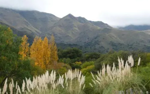 El Viejo Algarrobo - Hosteria Serrana