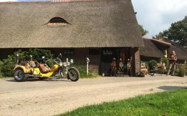 Rio Grande Luxury Western Rooms