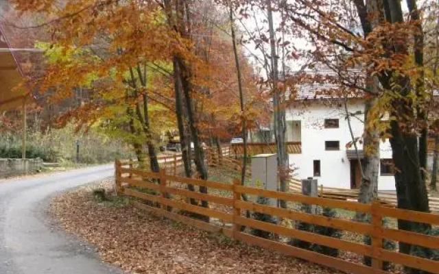Casa de vacanta Mogosa