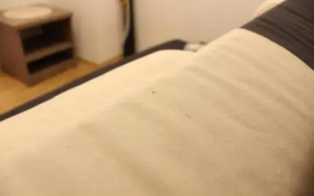 Apartments Renata 141