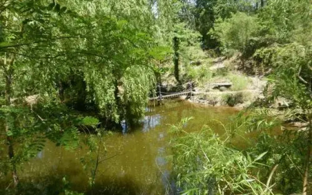 Le Lavandin
