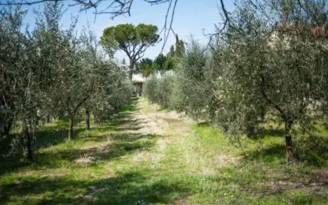 Agriturismo Dipinture
