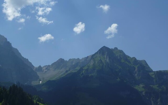 Apartment Birkenstrasse 52