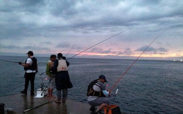 Jejuportulaca Grandiflora Pension