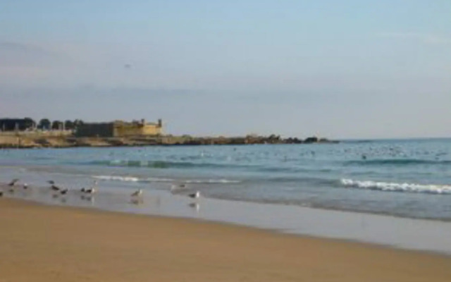 Villa Magnolia Porto
