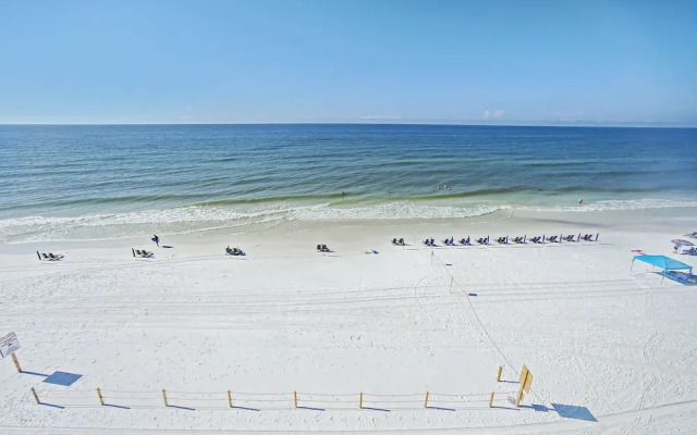 Signature Beach 502 239619 by RedAwning