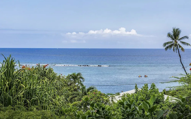 Kahalu'u Hale by RedAwning