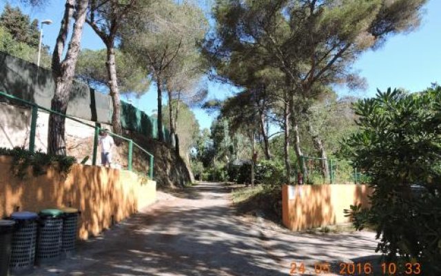 Camping Reale