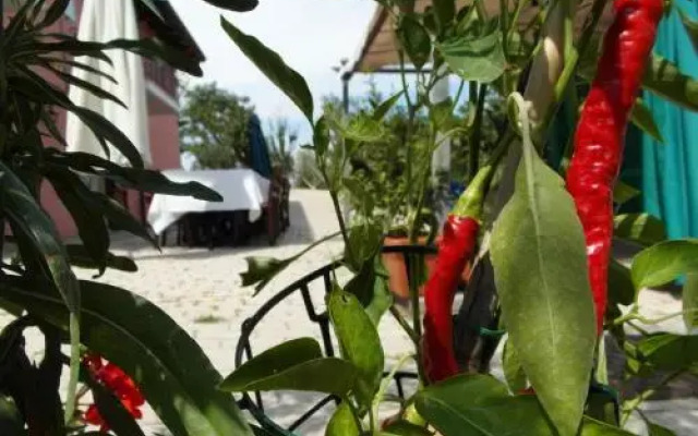 Agriturismo La Ruelle