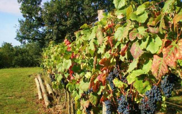 Chambres dhotes "Domaine de la Rose des Vents"