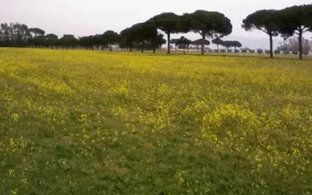 Bed & Breakfast Flora