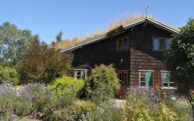 Hostal Zapato Amarillo