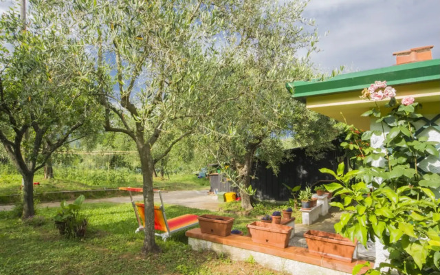 Holiday home Il Banano Massarosa
