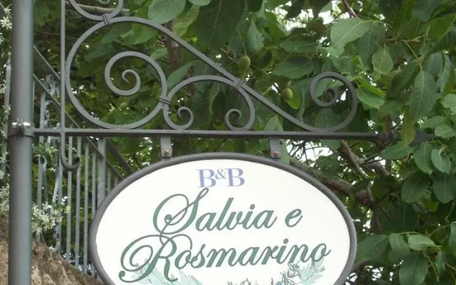 Salvia e Rosmarino