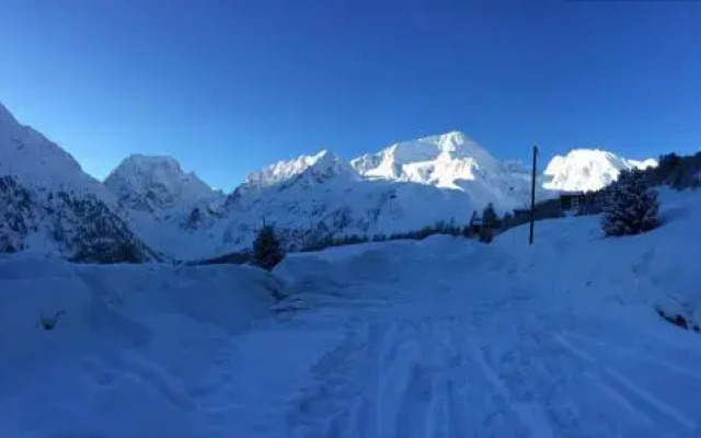 Le Chamois