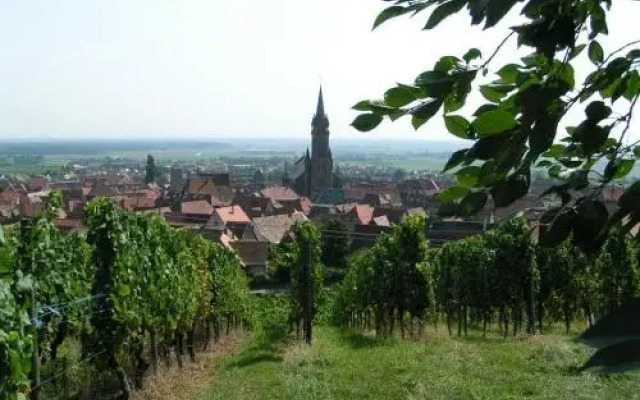 Gite Les clés des Vignes