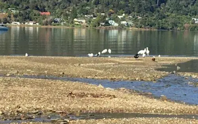 Seascape at Anakiwa