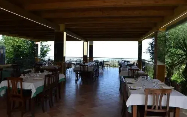 Il Falco del Cilento