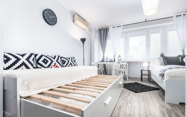 Little Home - Black Swan