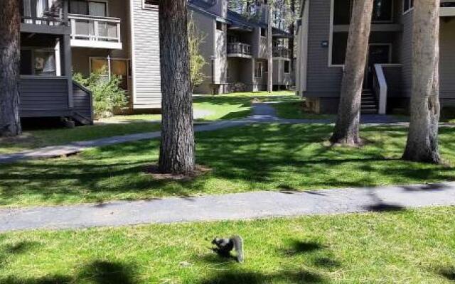 Lakeland Village #110