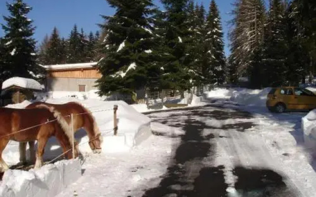 Ferienwohnung am Spitzberg