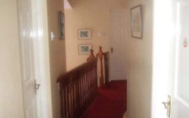 Elderberry B&B