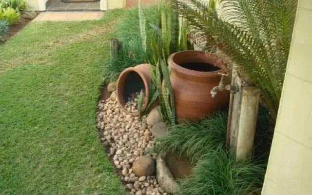 The Lazy Lizard