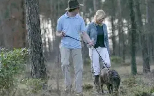 Outdoors Holten