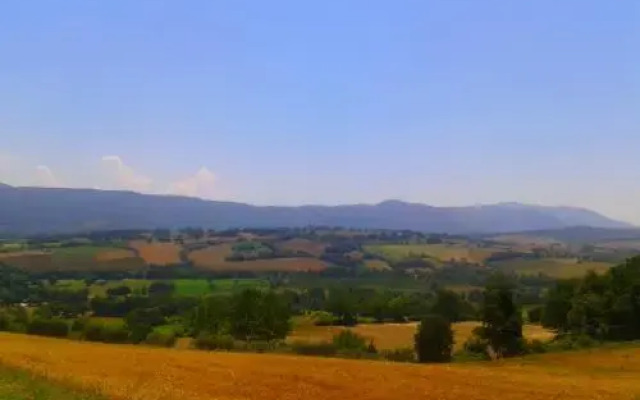 L'Oro di Cicognola