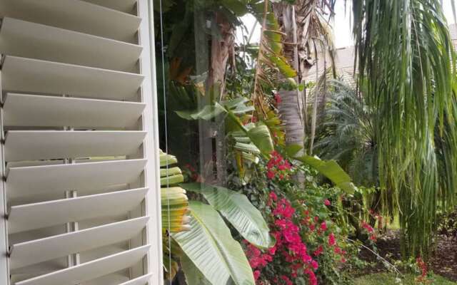 Spacious Mansion Escape