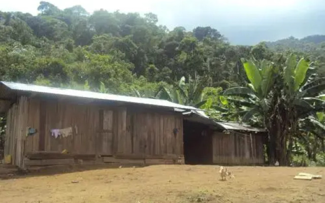 Conservación Ecológica Yampinkia