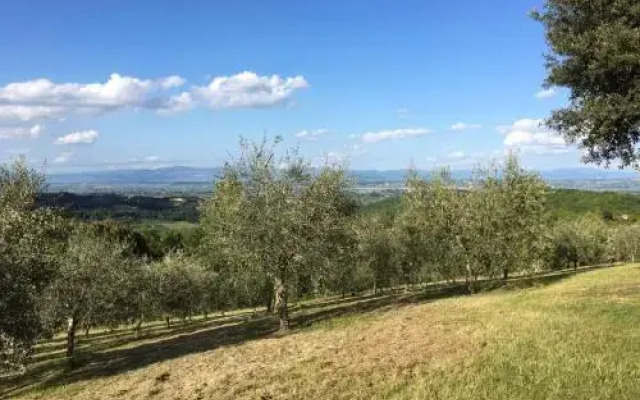 Agriturismo IL GONZETO-Az. Agr. Sanlor di Busani Sanjay