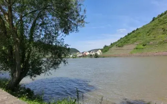 Ferienwohnungen Moselstausee