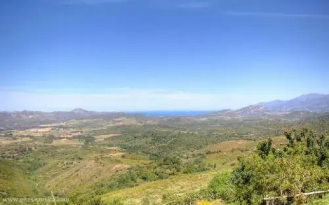 A Conca d'Oro