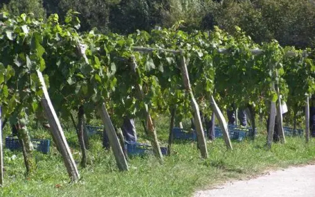 Agroturismo Basarte Baserria