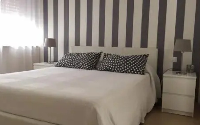 B&B Bernini 20