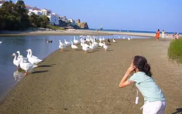 Hotel Elpida
