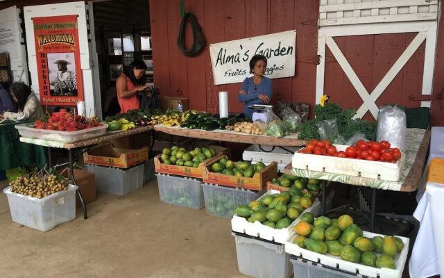 Holoholo ku Waimea by RedAwning