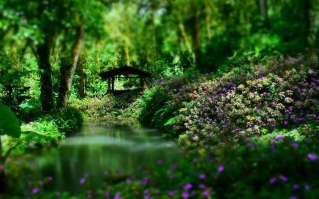 Cabinas Turísticas Cerro Alto