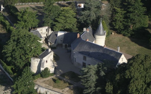 Château de la Roche Martel