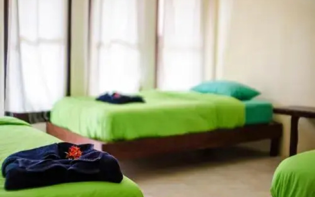 Coco Khao Sok Hostel