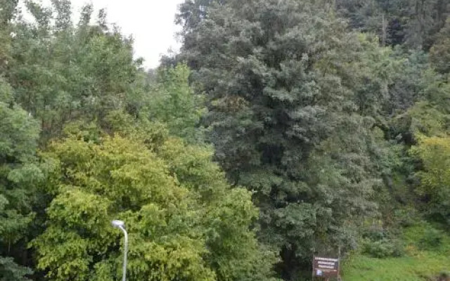 Hotel B&B Bergzicht