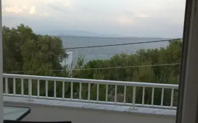 Angela Studios