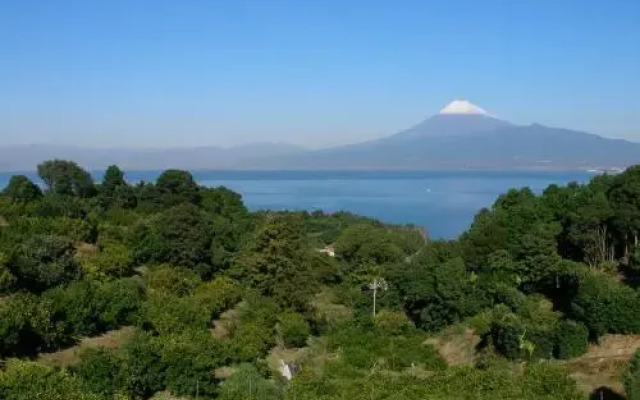 Yamaya