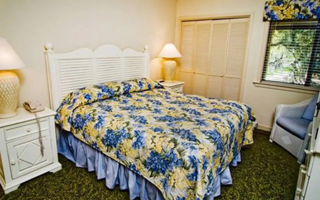 Spicebush at Sea Pines Resort