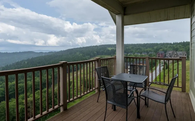 3 Br: Soaring Eagle 405