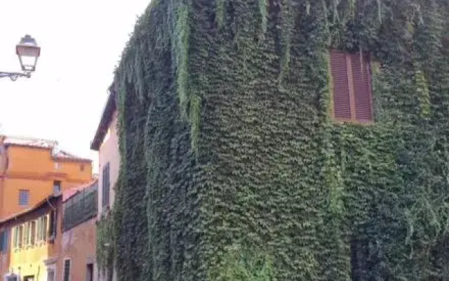 La Casa Trasteverina